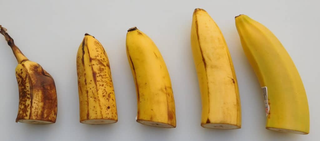 what is a banana body type