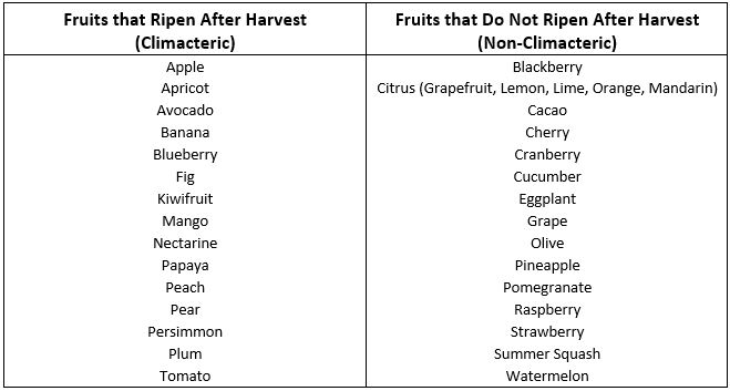 Plum Ripening Chart