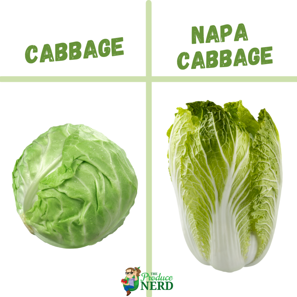 Cabbage vs. Napa Cabbage
