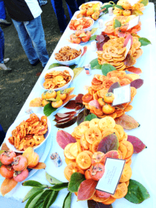 Wolfskill Persimmon Tasting