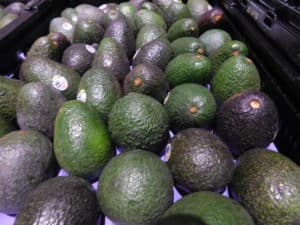 Avocado Tray Pack