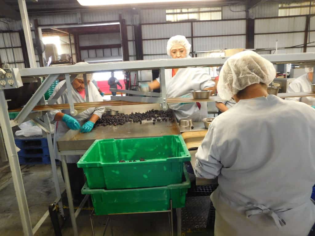 Dried Fig Packing