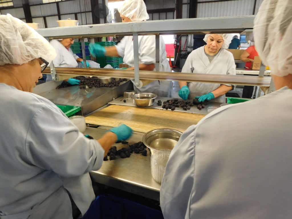 Dried Fig Packing