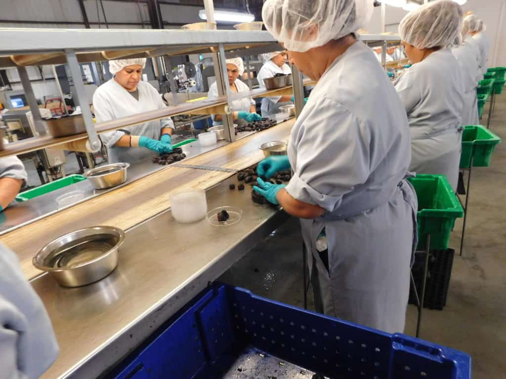 Dried Fig Packing