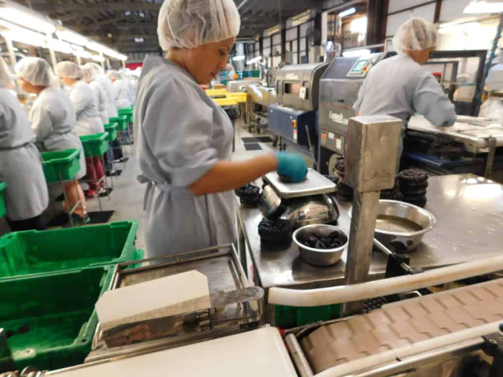 Dried Fig Packing - Quality Control Weigh Step