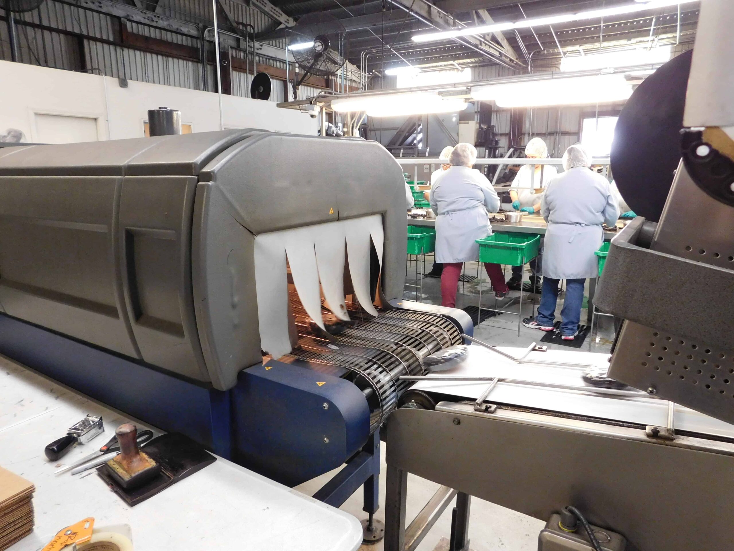 Dried Fig Packing - Shrink Wrapping Machine