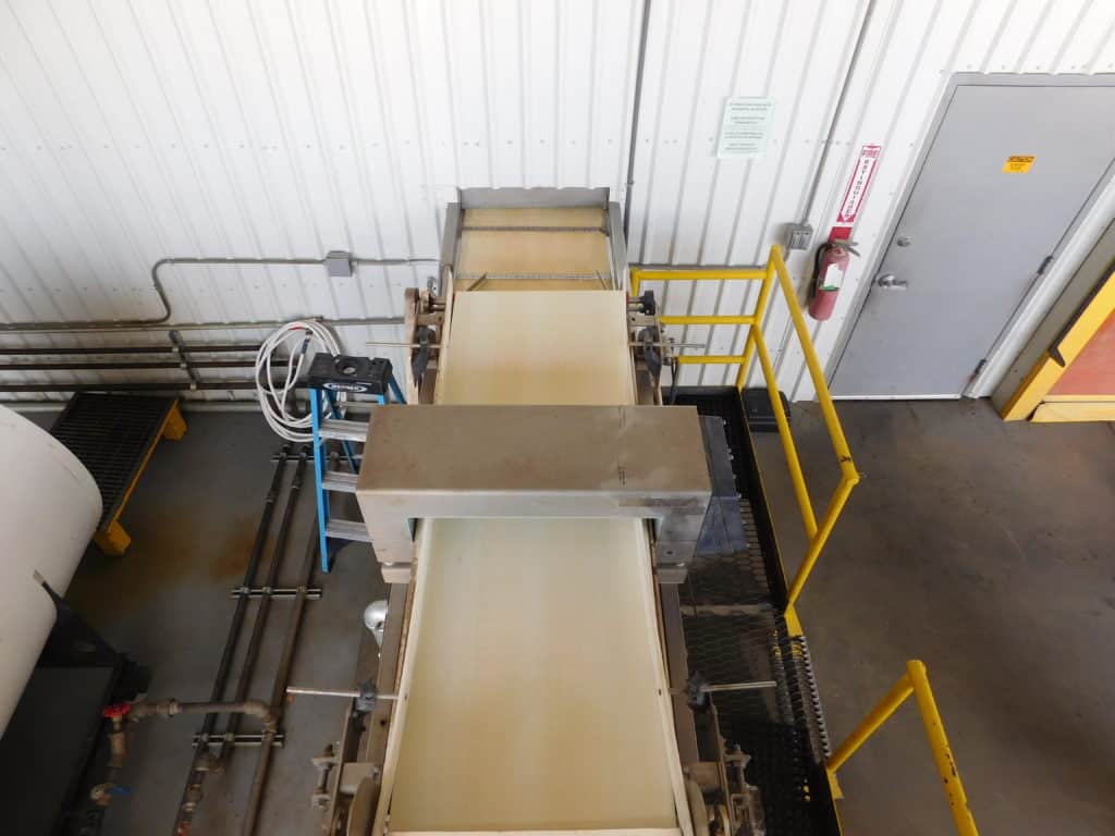 Dried Fig Packing - Conveyor Line