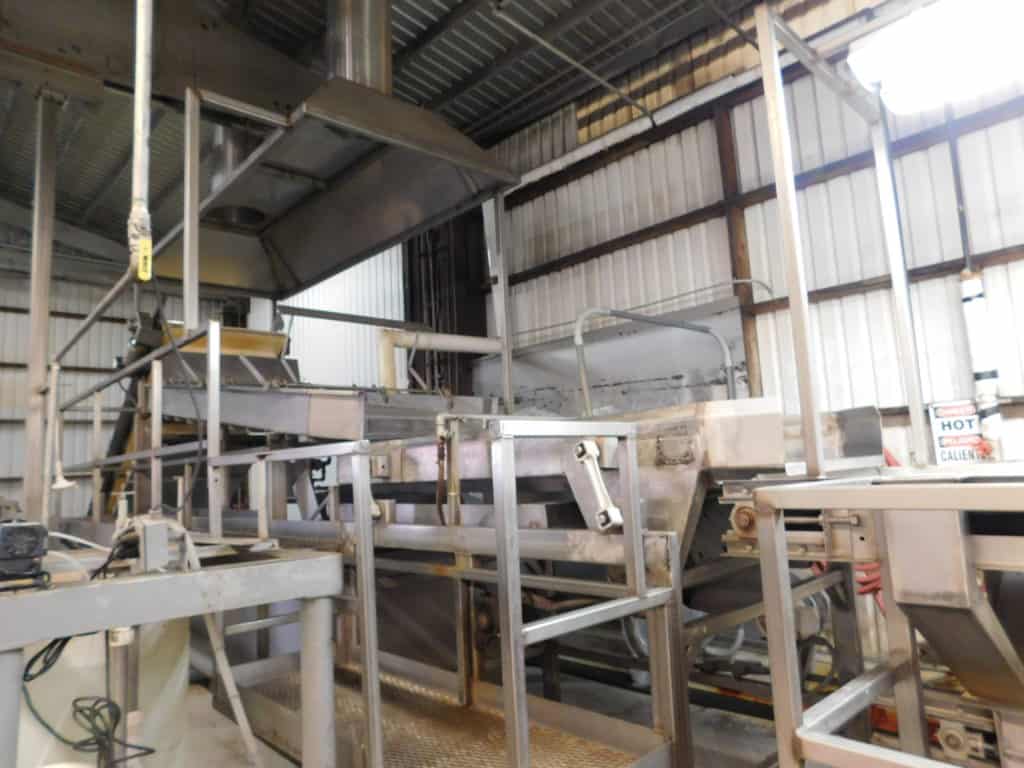 Dried Fig Packing - Conveyor Line