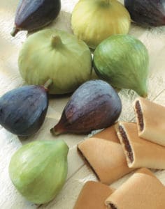 Fresh Figs & Dried Fig Cookies