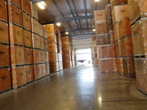 Walnut Processing - Walnut Bulk Bin Storage