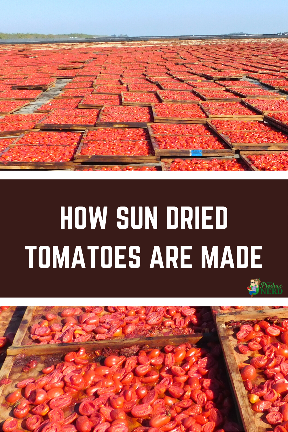 Read more about the article How Sun Dried Tomatoes are Made