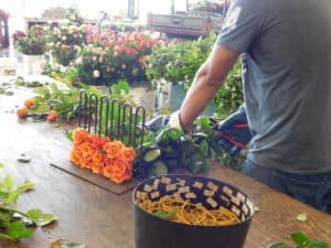 Postharvest Handling of Cut Flowers - Arranging Wholesale Rose Bouquets