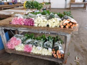 Postharvest Handling of Cut Flowers - Wholesale Rose Bouquets