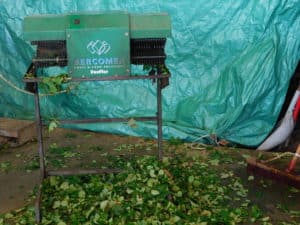 Postharvest Handling of Cut Flowers - Deleafing Machine