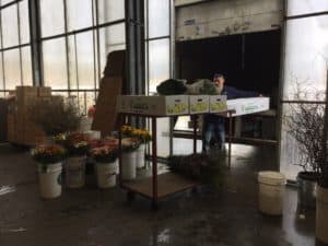 Postharvest Handling of Cut Flowers - Transportation of Fresh-Cut Flowers