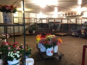 Postharvest Handling of Cut Flowers - Storage of Fresh-Cut Flowers