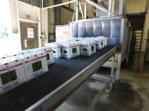 Asparagus Packing - Hydrocooler