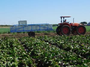 Photo of harvested bins on the outskirts of the field.