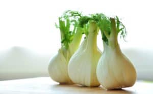 Trimmed Fennel