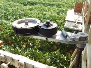 Cantaloupe Harvest - Box Labeler