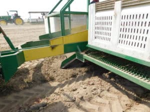 Sweet Potato Harvest - Harvesting Machine