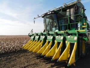 Cotton Harvesting - Cotton Harvester