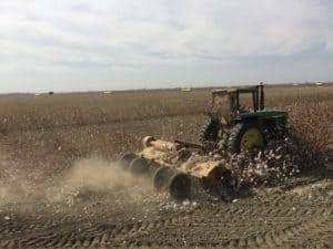 Cotton Harvesting - Cotton Field After Harvest
