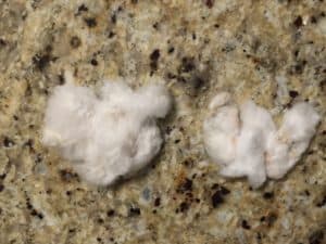Cotton Types - Pima and Acayla Cotton