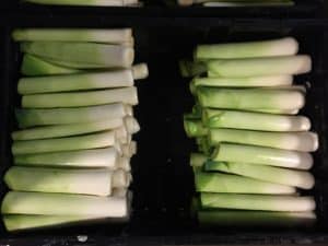 Leek Processing - Trimmed Leeks