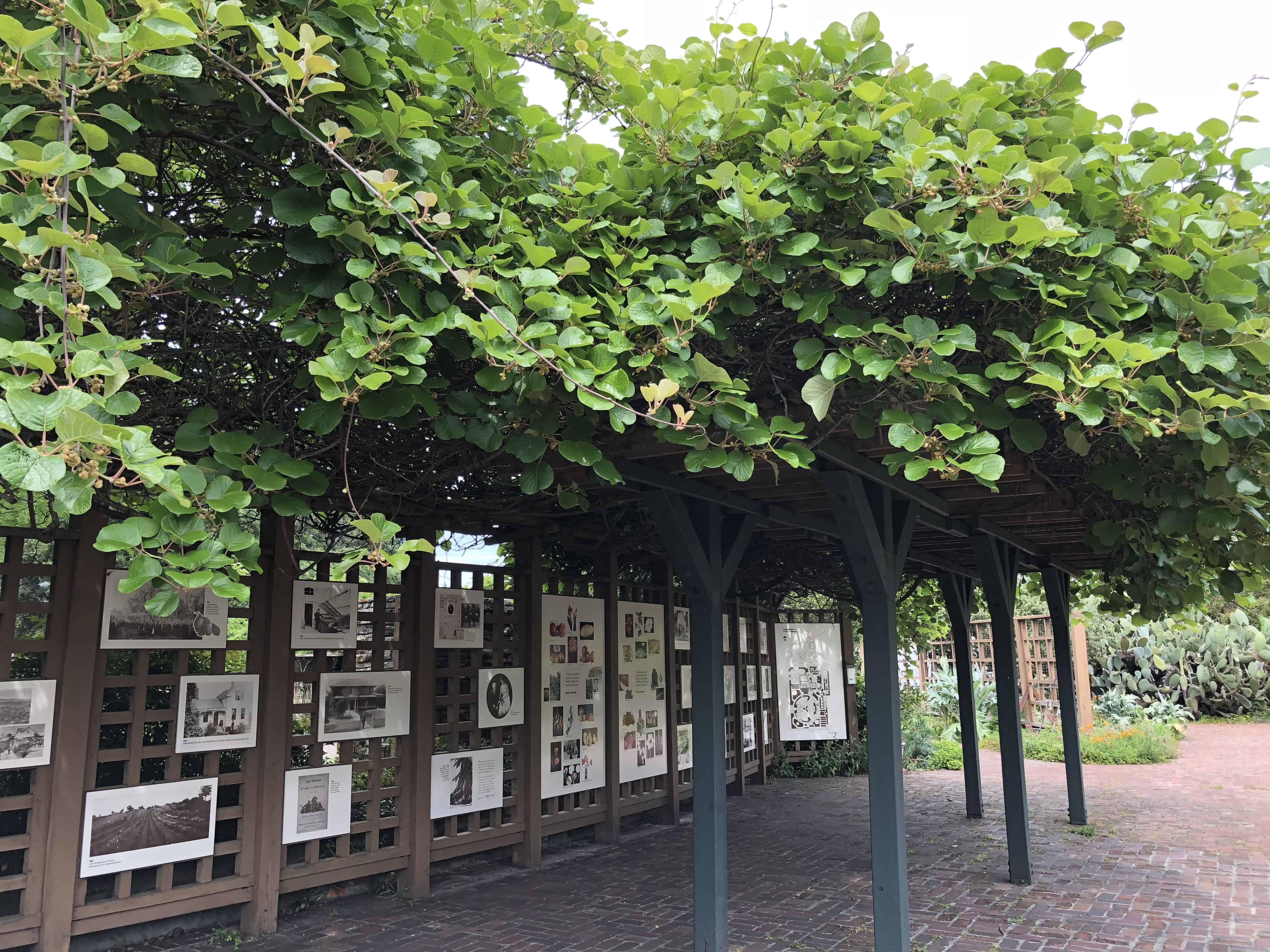 Visiting The Luther Burbank Home And Gardens The Produce Nerd