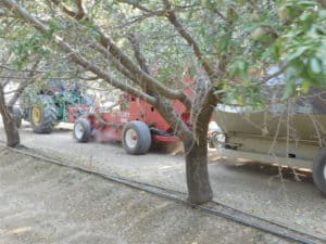 Almond Harvesting - Harvesting Machine