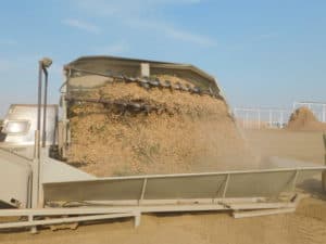 Almond Harvesting - Stock Piles