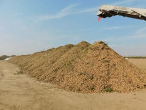 Almond Harvesting - Stock Piles
