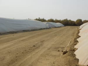Almond Harvesting - Fumigation Tents