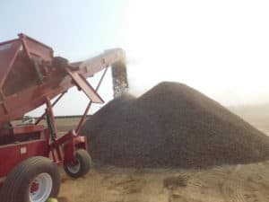 Almond Harvesting - Stock Piles