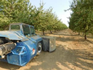 Almond Harvesting - Sweeping