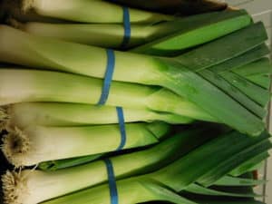 Leek Packing - Trimmed & Packed Leeks