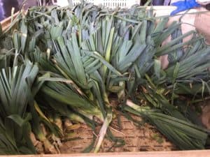 Leek Packing - Harvested Leeks from the Field