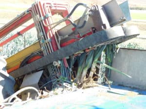 Leek Harvesting - Rotary Digger
