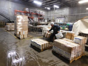 Belgian Endive Packing