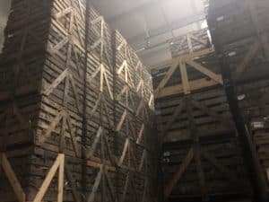 Belgian Endive - 28Â°F Cold Storage Rooms