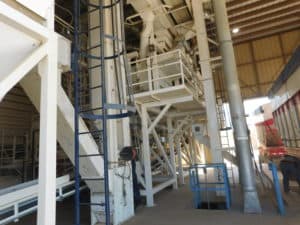 Almond Hulling - Pre-Cleaning