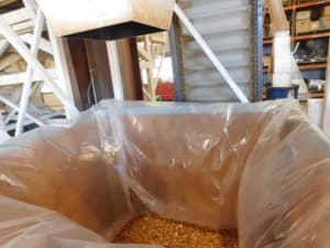 Almond Hulling - Packing into Bulk Bins
