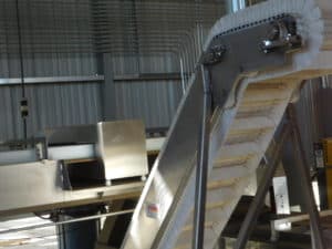 Almond In-Shell Packing - Metal Detector