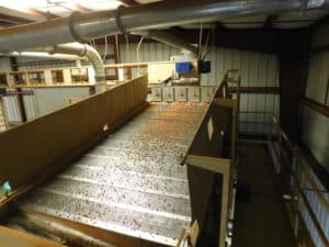 Almond Processing - Sorting by Size