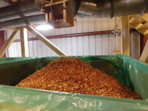 Almond Processing - Sorting and Packing by Size