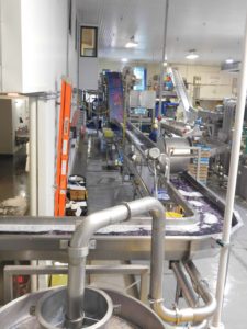 Cabbage Processing - Cabbage Processing Line