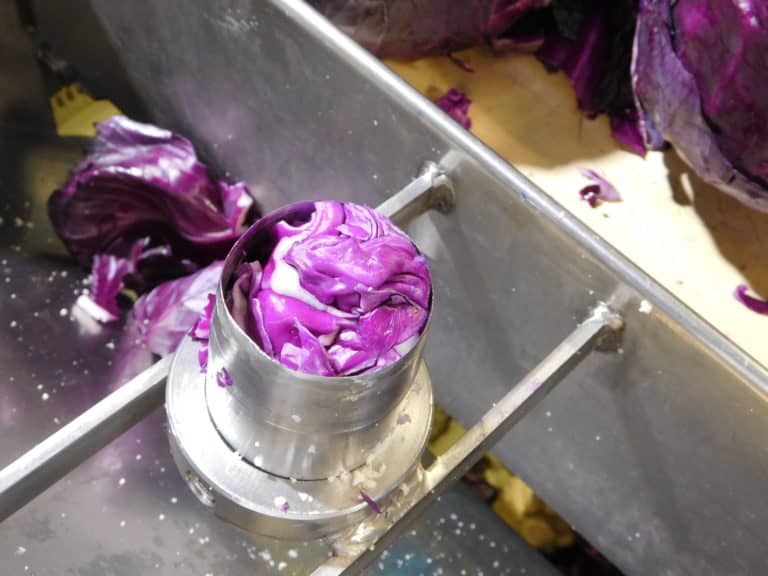 Cabbage Processing: Creating Bagged Cabbage - The Produce Nerd