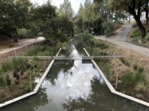 UC Davis Arboretum - Waterway 2019