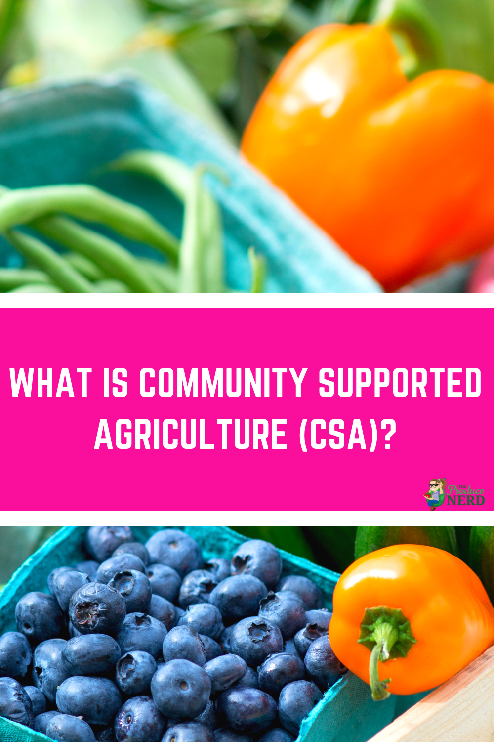 Read more about the article What is Community Supported Agriculture (CSA) & My Experience Trying a CSA Box